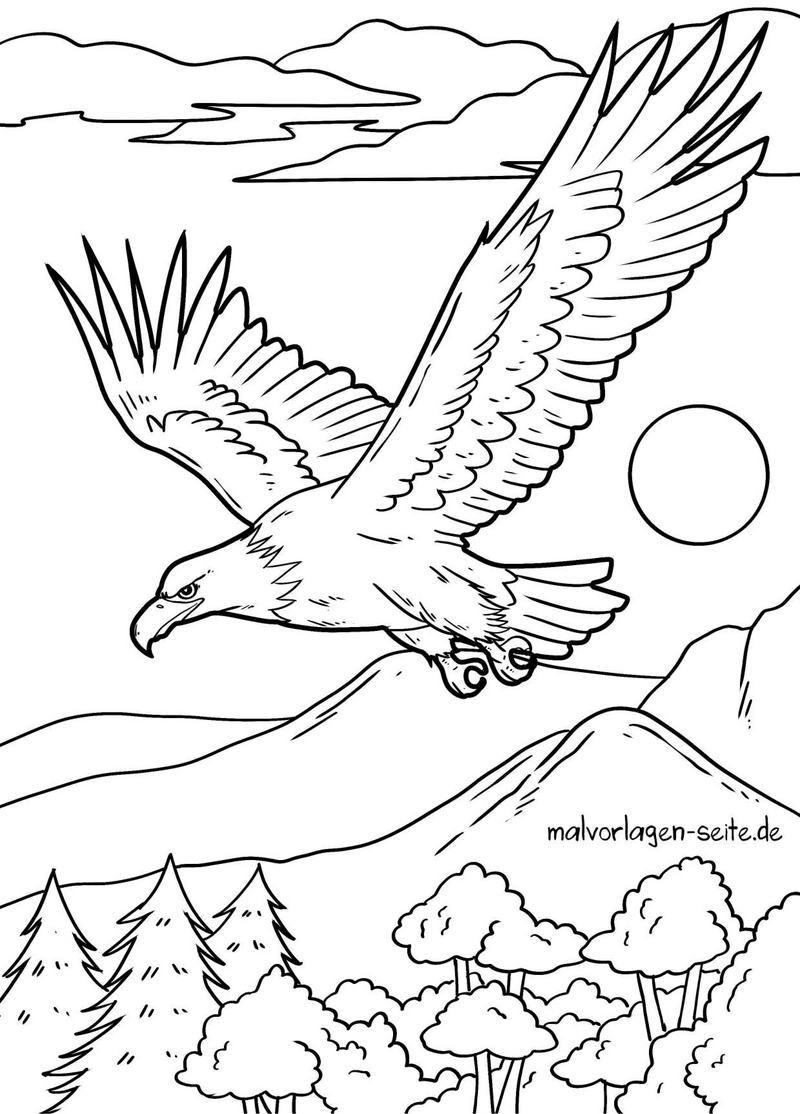 adler-in-der-natur-mit-bergen-und-baeumen