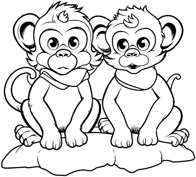 aeffchen-auf-steinen-zwei-kreative-tierbilder