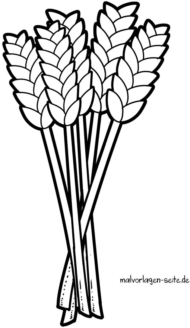 aehren-buendel-ausmalvorlage
