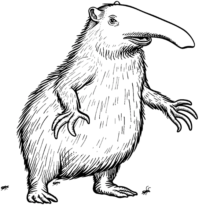 ameisenbaer-ausmalvorlage-kreativ-entdecken