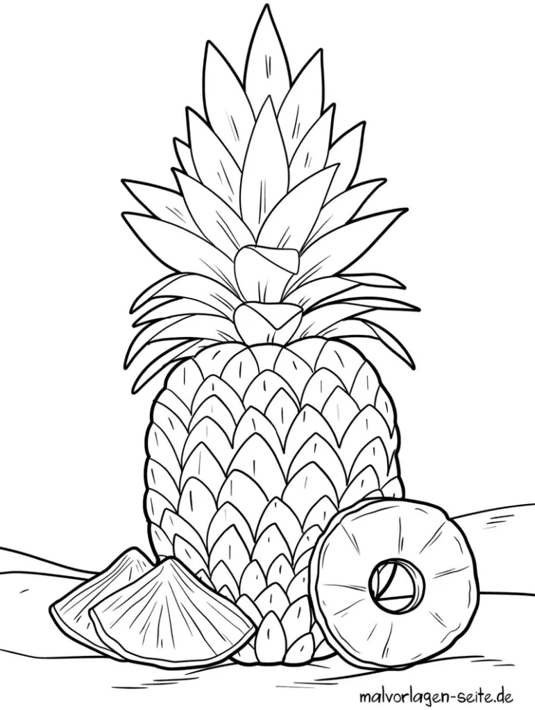 ananas-mit-scheiben-ausmalvorlage
