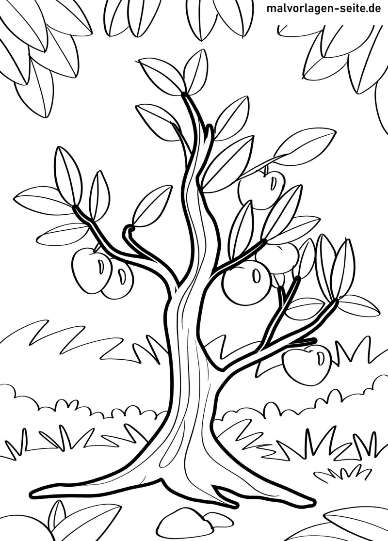 apfelbaum-mit-fruechten-ausmalvorlage