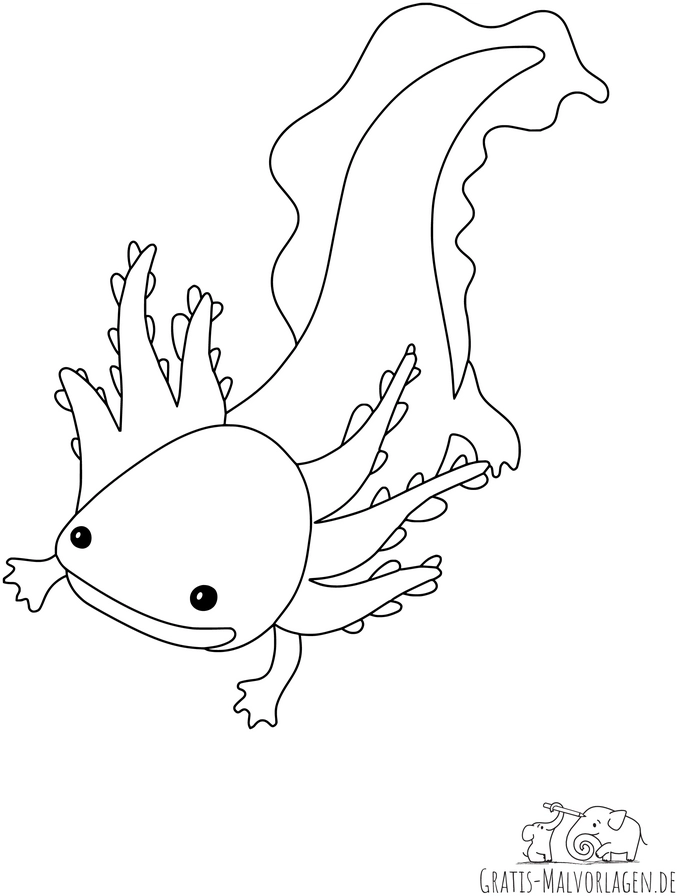 axolotl-ausmalvorlage-fuer-kinder