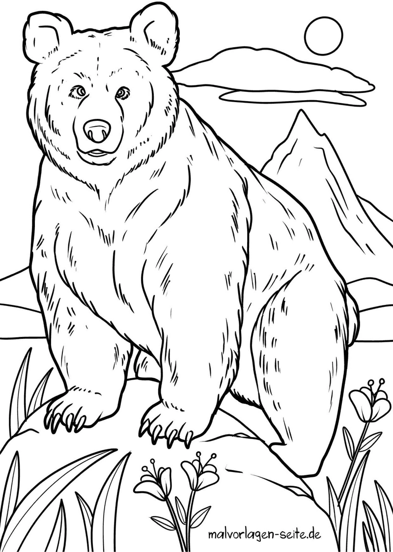 baer-in-natur-und-sonne-malvorlage
