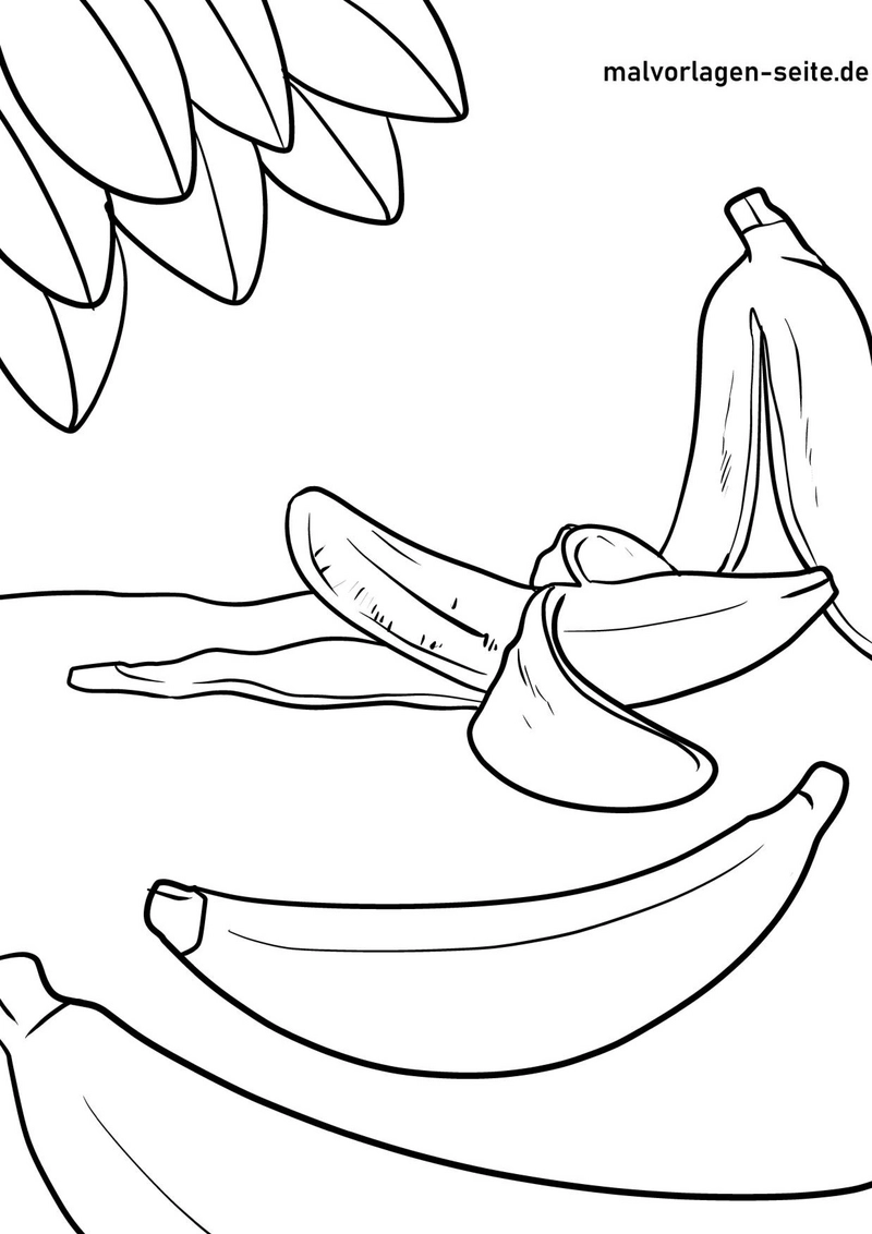 bananen-im-tropischen-umfeld