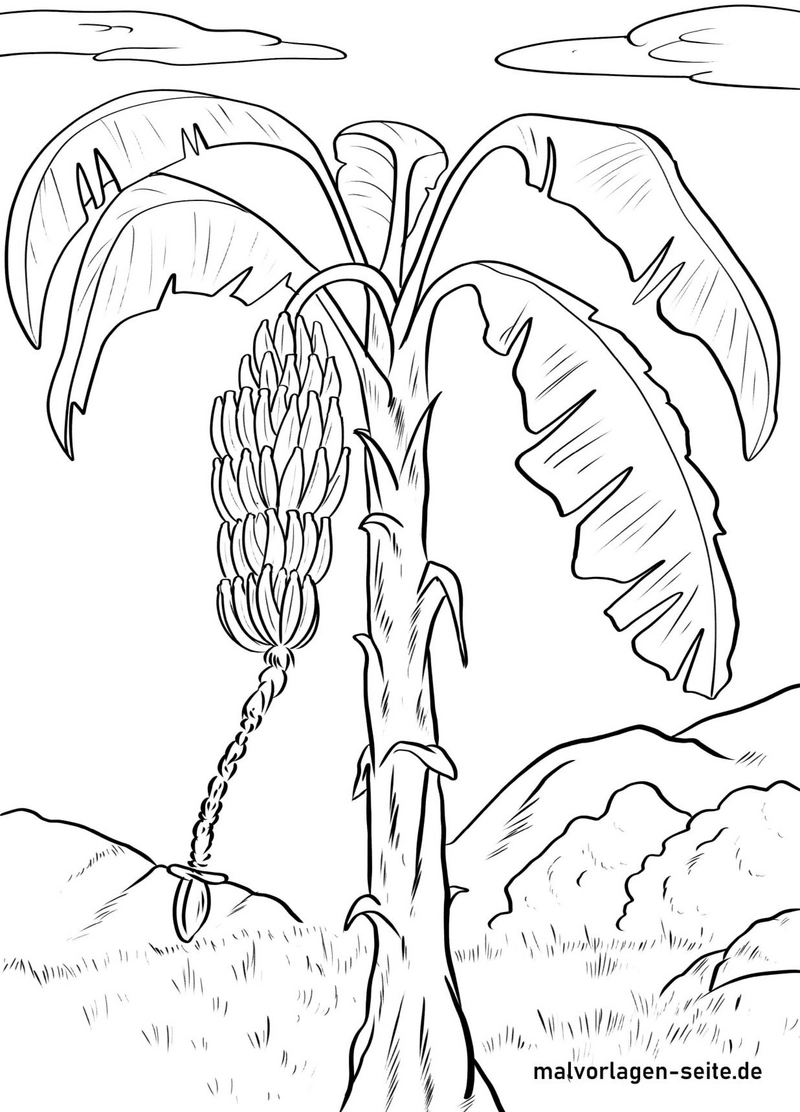 bananenstaude-ausmalen-mit-fruechten