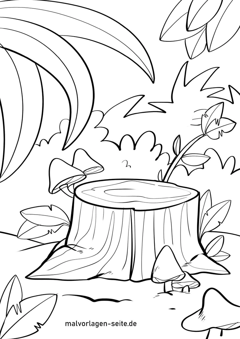 baumstumpf-mit-pilzen-und-pflanzen-im-wald