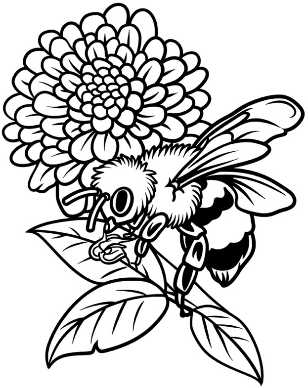 biene-an-blume-ausmalvorlage