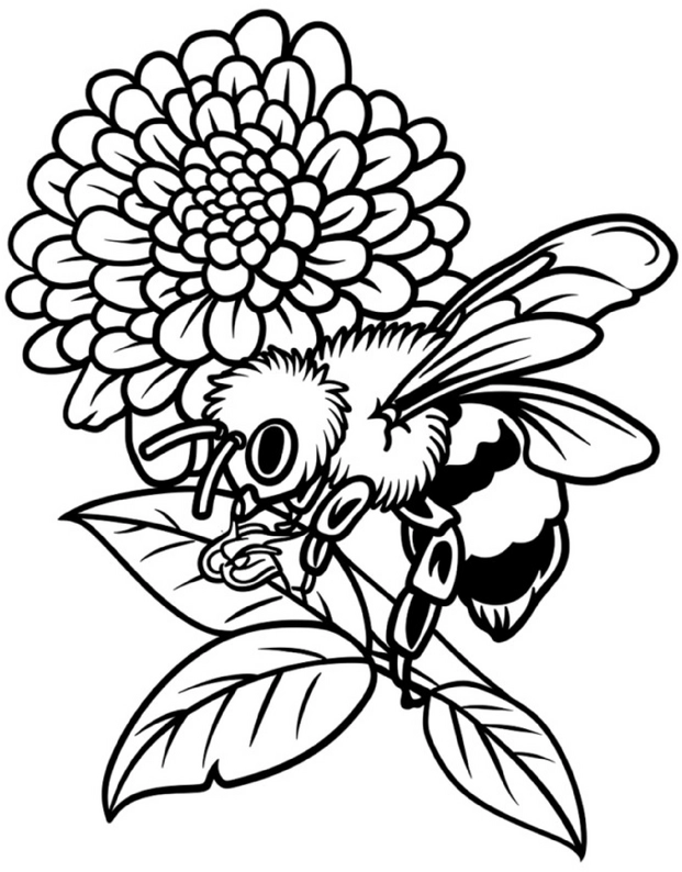 biene-blume-ausmalbild