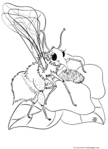 biene-pollen-sammeln-ausmalvorlage