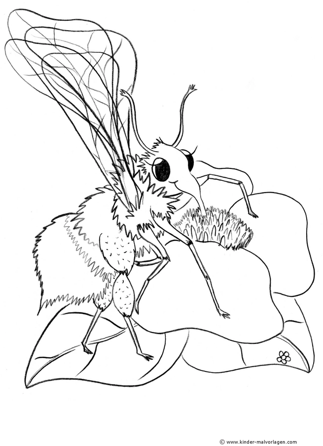 biene-pollen-sammeln-ausmalvorlage