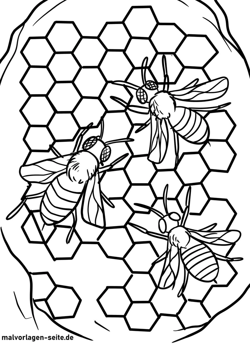bienen-im-bienenstock-malvorlage