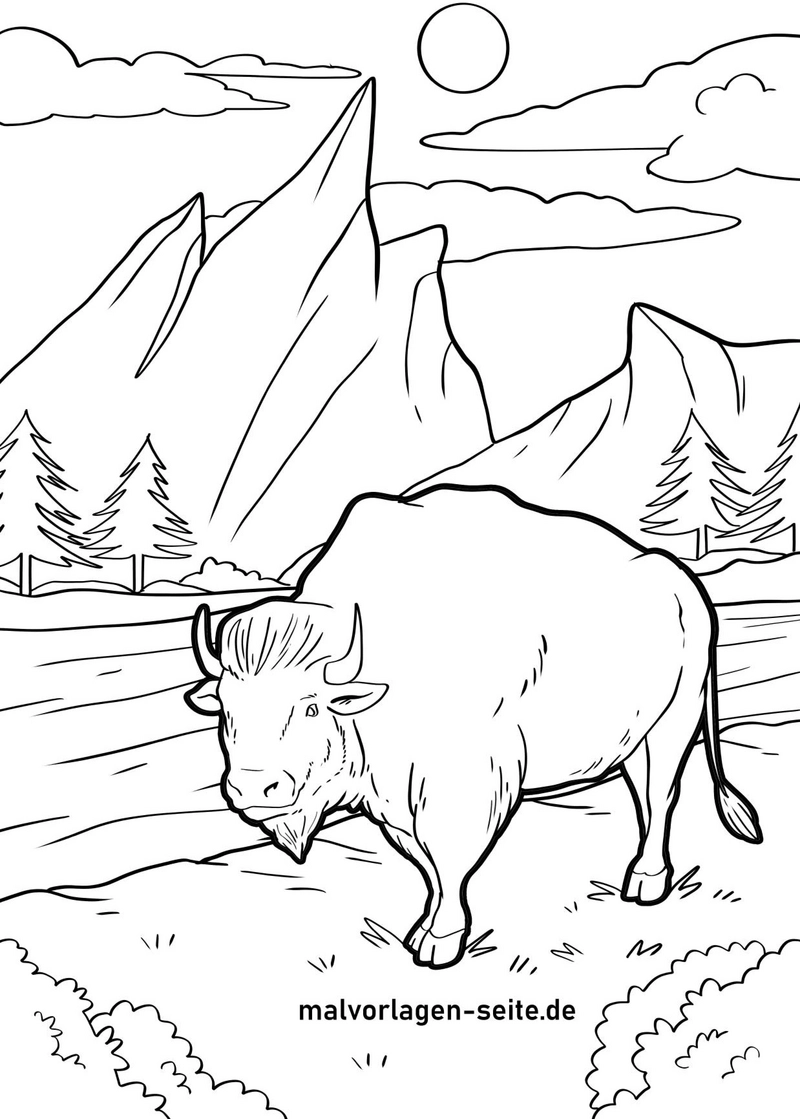 bison-in-der-natur-ausmalvorlage