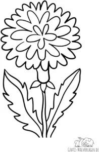 bluende-blume-fruehling-ausmalvorlage