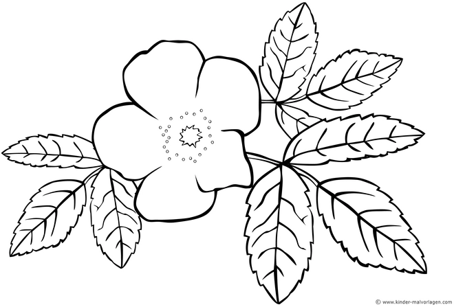 blume-mit-blaettern-ausmalvorlage
