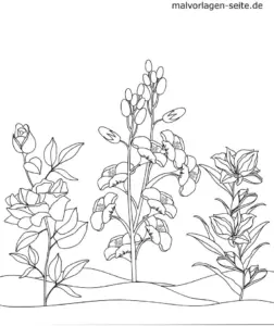 blumen-ausmalvorlage-fruehling-gestaltung