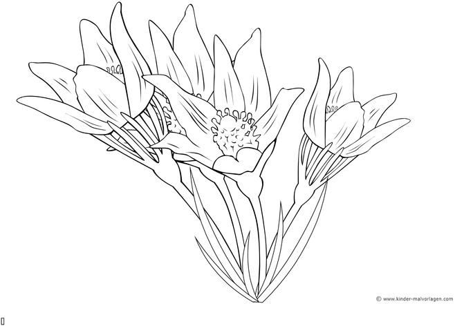 blumen-bouquet-ausmalvorlage