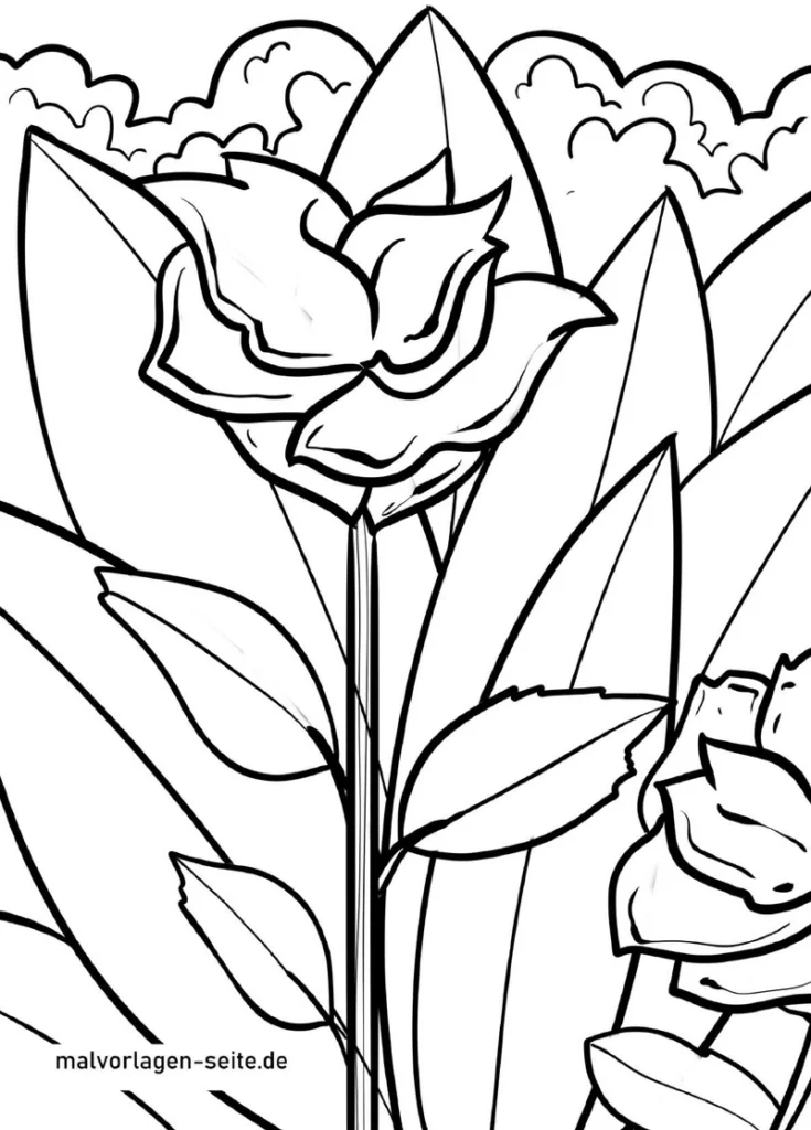blumen-malen-ausmalvorlage-kreativ-gestalten