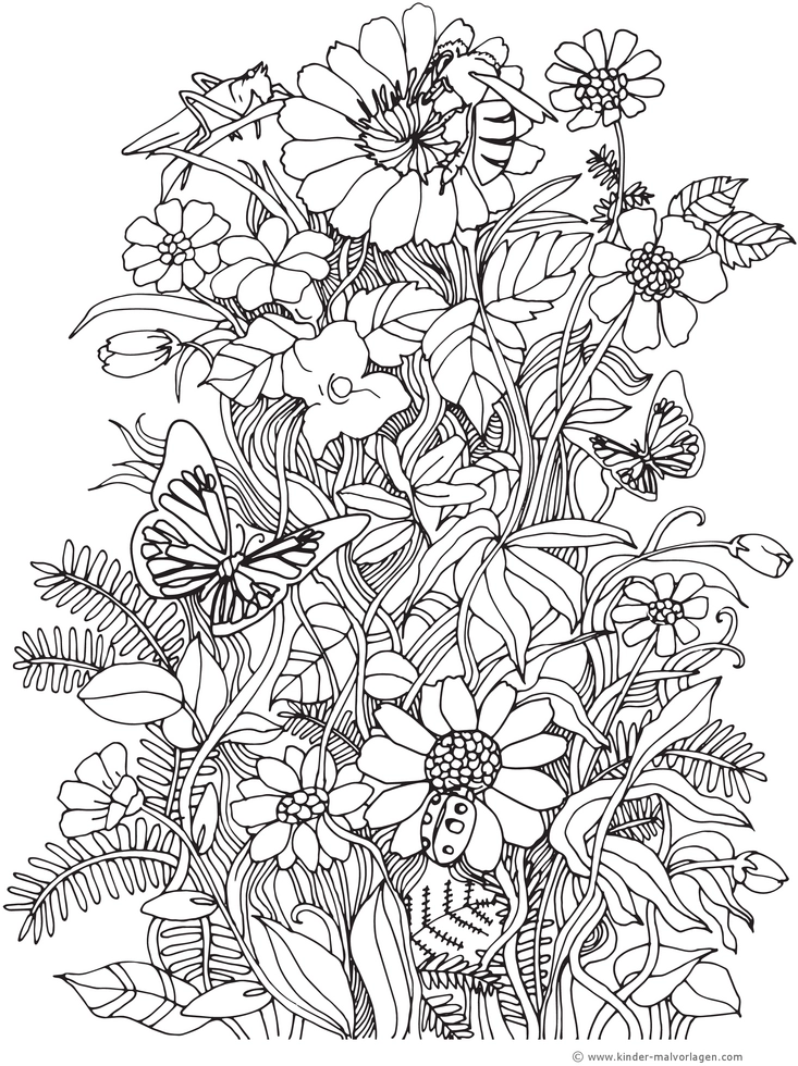 blumenwiese-mit-insekten-ausmalvorlage