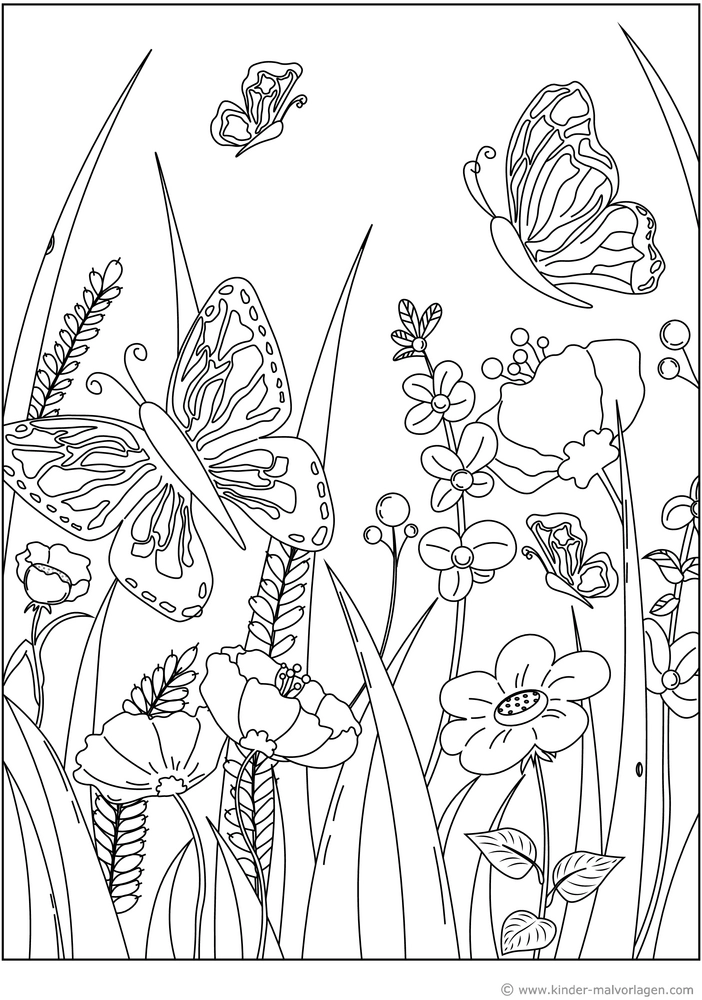 blumenwiese-mit-schmetterlingen-und-insekten