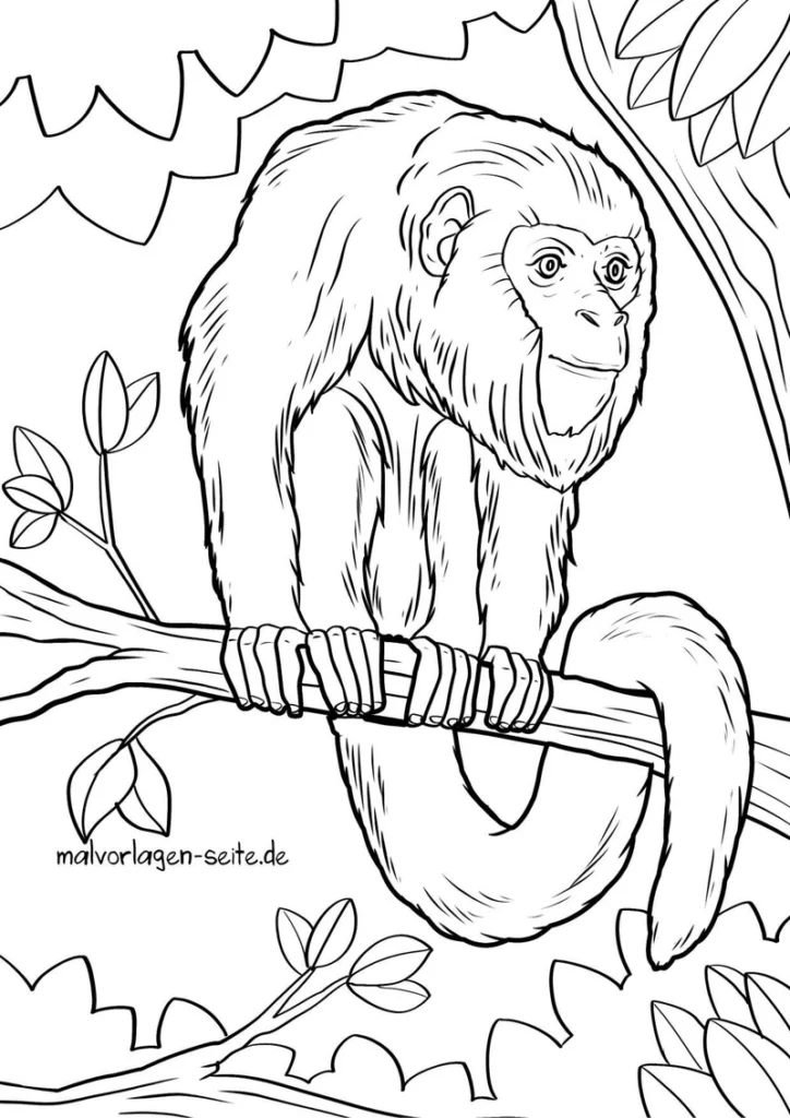 bruellaffe-auf-baumast-malvorlage