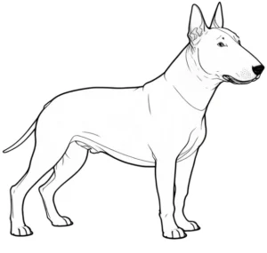 bullterrier-ausmalvorlage-kreativ-und-lehrreich