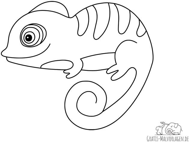 chamaeleon-ausmalvorlage-fuer-kinder