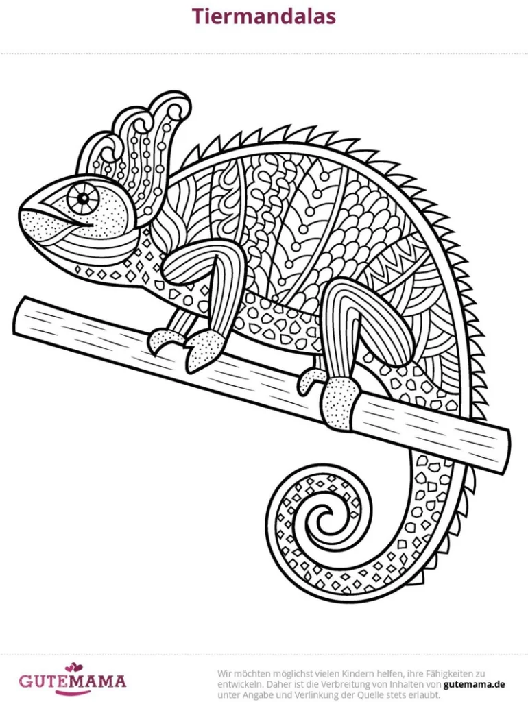 chamaeleon-mandala-malvorlage-ausmalen