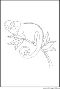 chameleon-ausmalvorlage-fuer-kinder