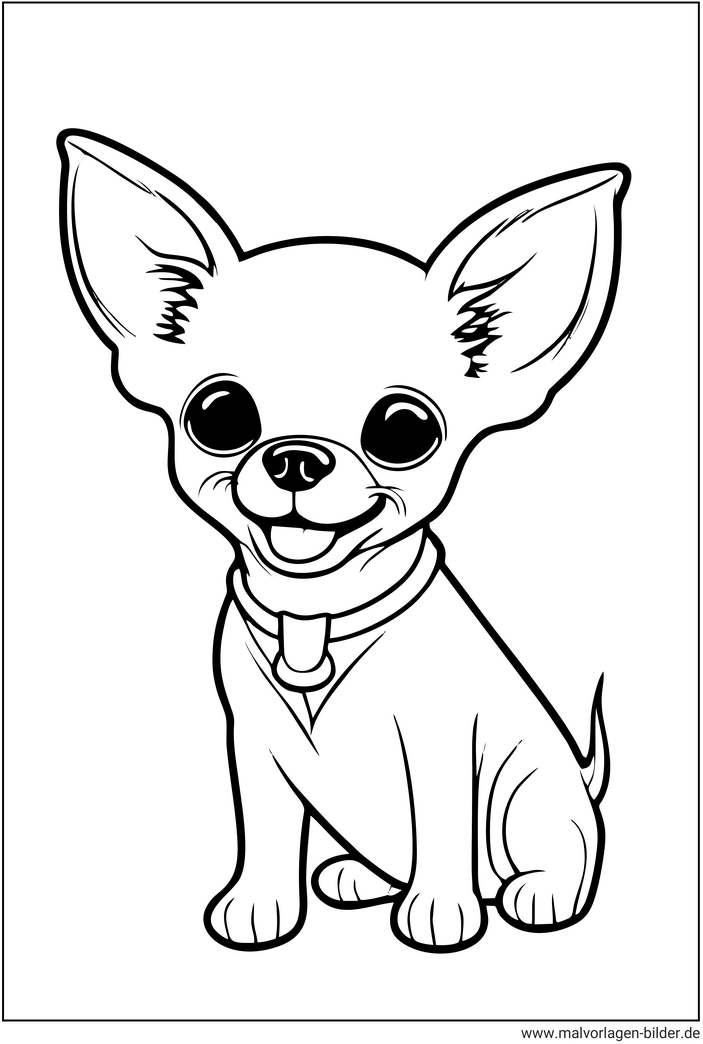 chihuahua-ausmalvorlage-fuer-kinder