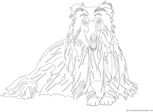 collie-ausmalvorlage-fuer-kinder