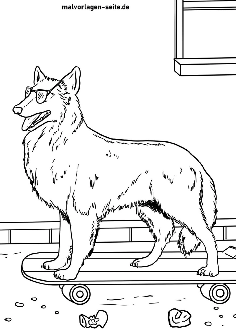 cooler-hund-auf-skateboard-mit-sonnenbrille