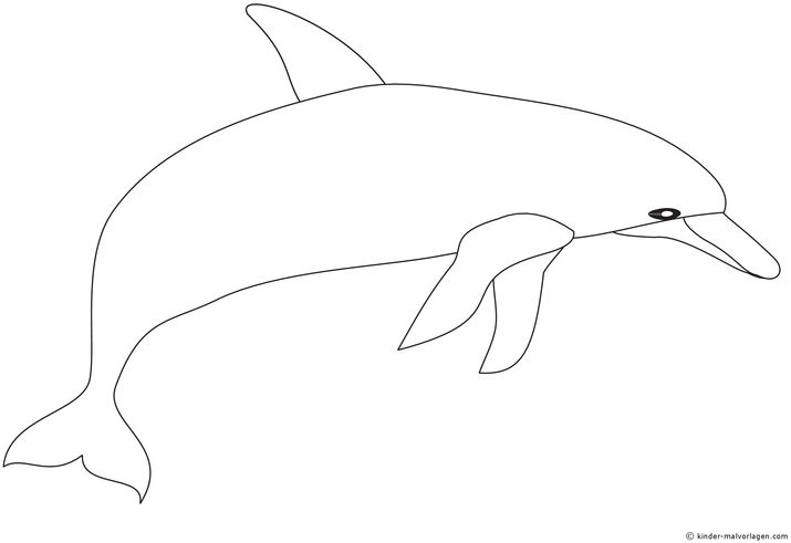 delfin-ausmalvorlage-kinder