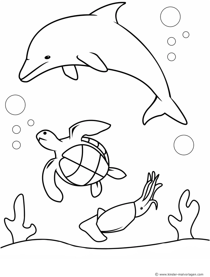 delfin-meeresschildkroete-kalmar-ausmalbild