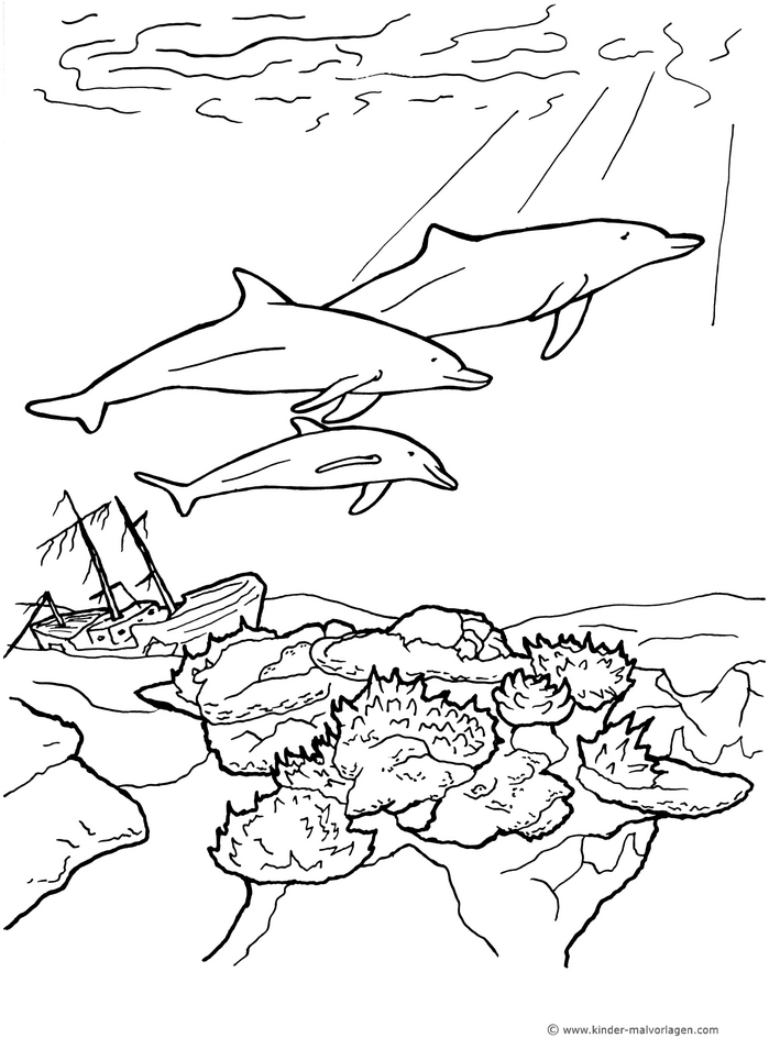 delfine-und-schiffswrack-ausmalvorlage