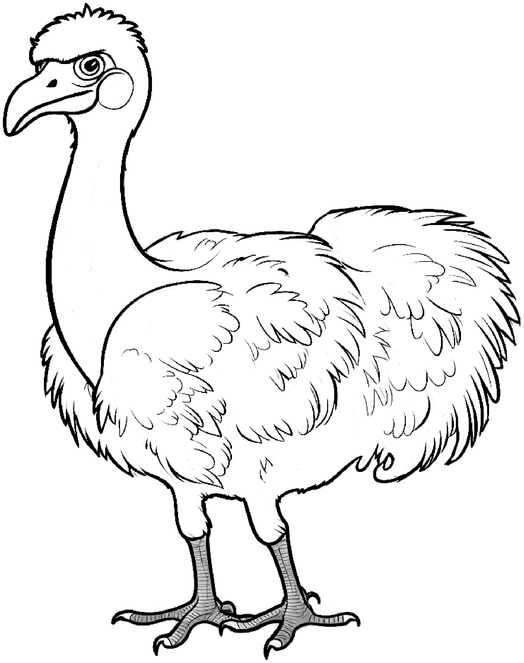 dodo-ausmalbild-kreativ-gestalten