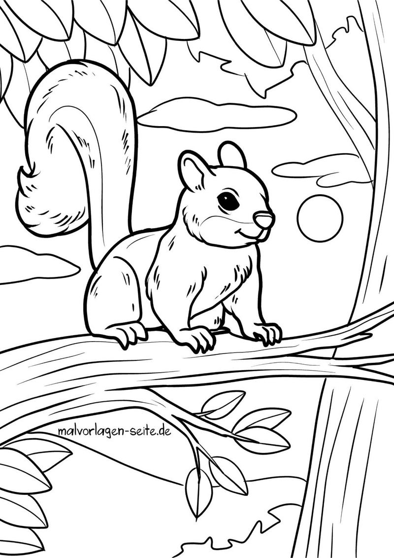 eichhoernchen-auf-baumzweig-naturkulisse