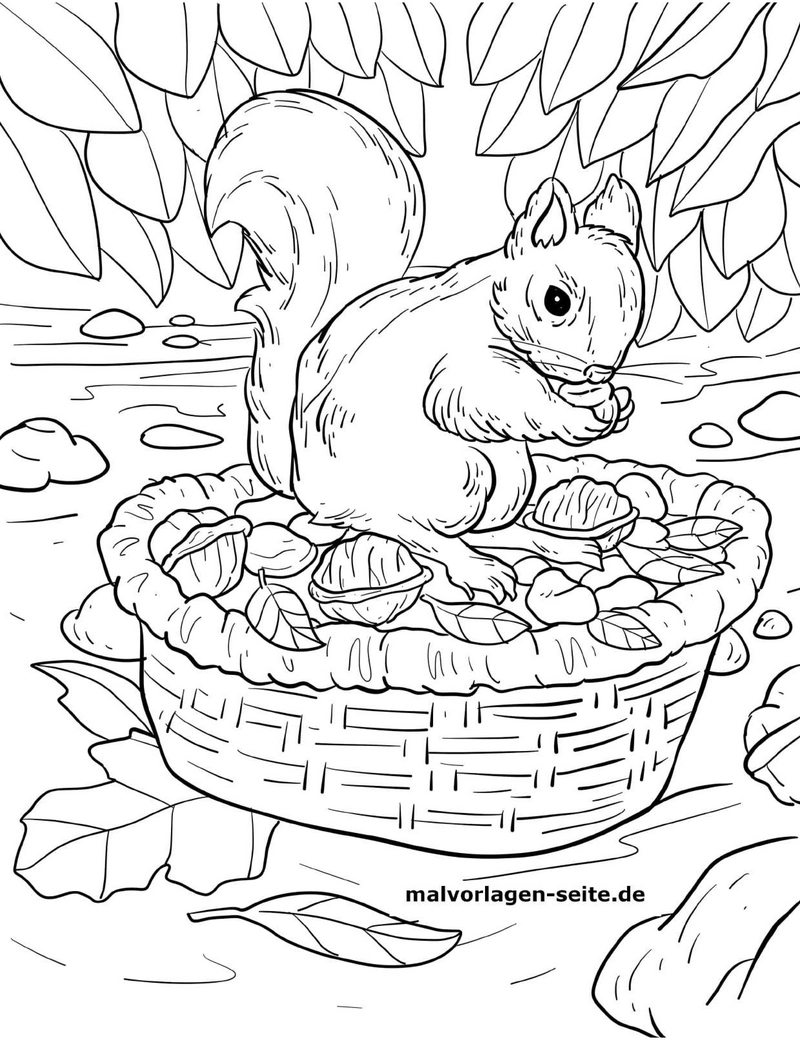 eichhoernchen-im-korb-nuesse-geniessen