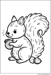 eichhoernchen-mit-nuss-ausmalvorlage
