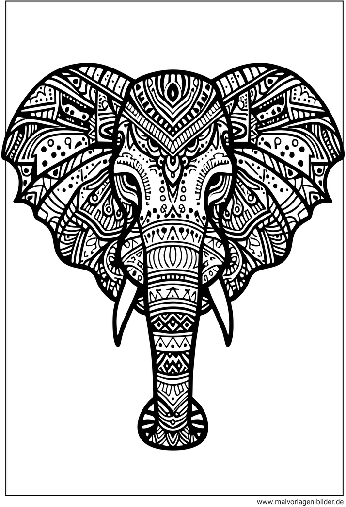 elefant-ausmalbild-fuer-erwachsene