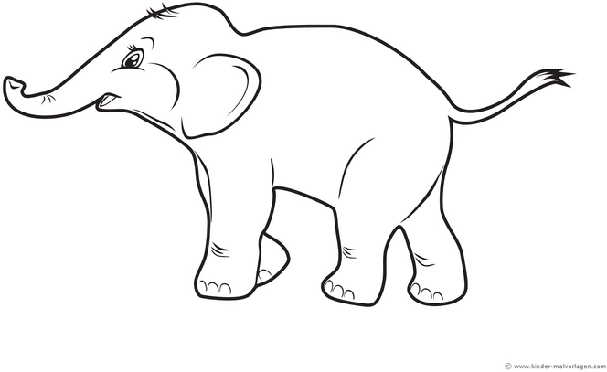 elefant-malvorlage-kreativ-ausmalen
