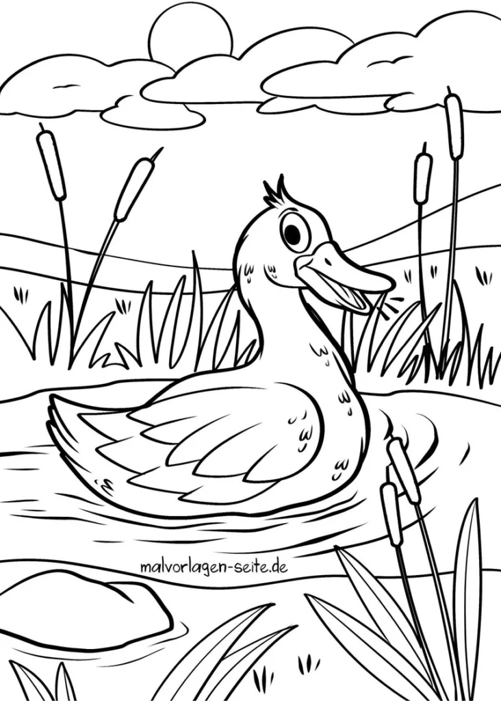 ente-im-teich-natur-motiv-malvorlage