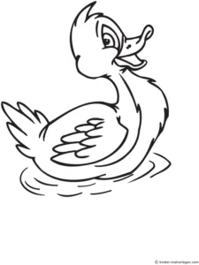 ente-im-wasser-ausmalvorlage