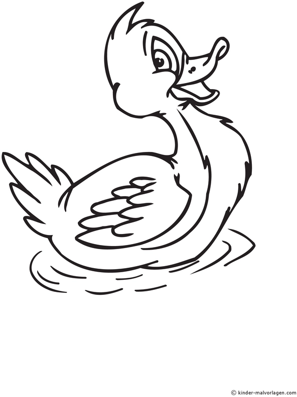 ente-im-wasser-ausmalvorlage