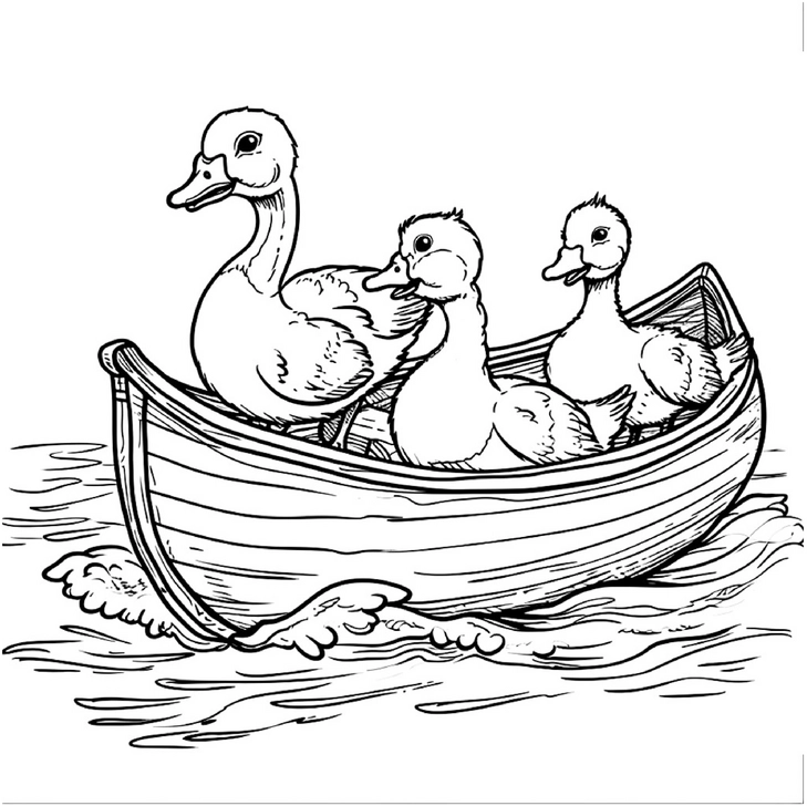 enten-im-boot-ausmalbild