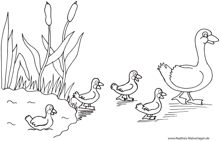 entenfamilie-am-teich-ausmalen
