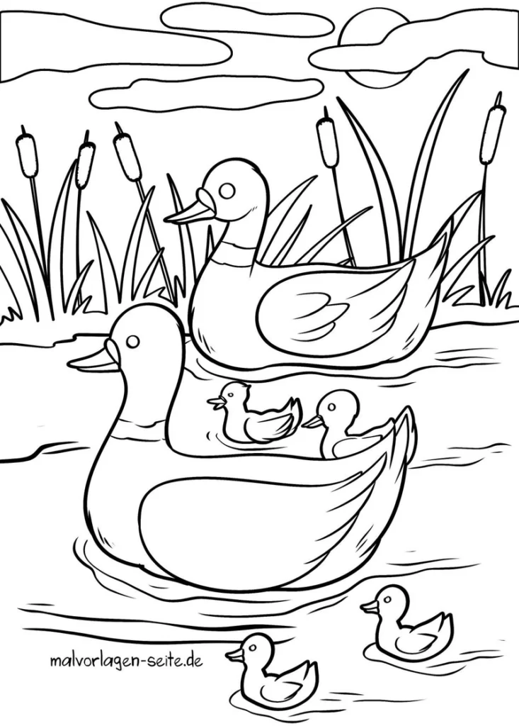 entenfamilie-in-natur-ausmalvorlage