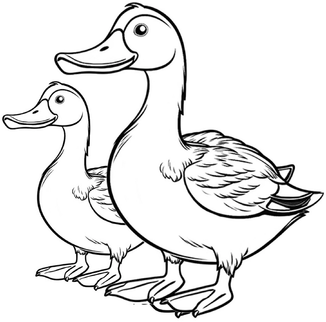 entenfamilie-mit-kueken-ausmalvorlage