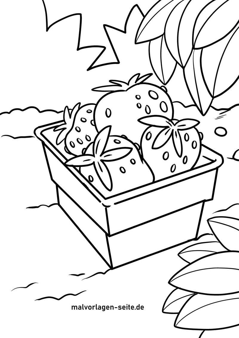 erdbeeren-in-schale-ausmalvorlage