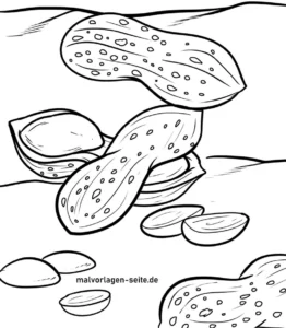 erdnuesse-als-malfreude-entdecken